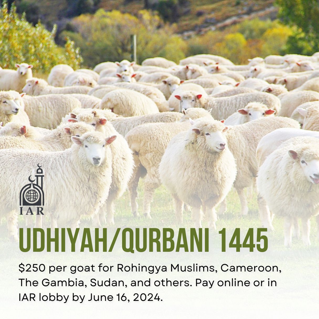 Udhiyah/Qurbani 1445